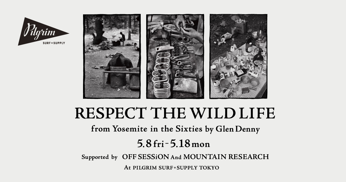 RESPECT THE WILD LIFE from Yosemite in the Sixties by Glen Denny