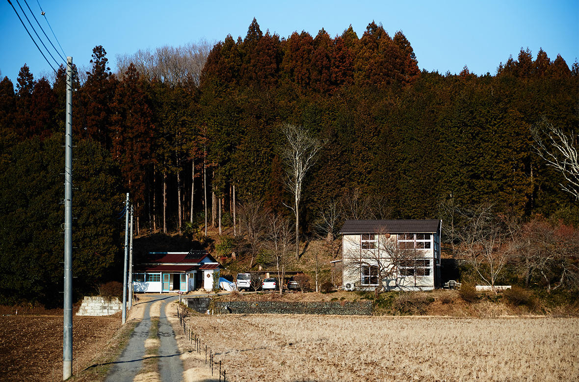 コンテンツ画像