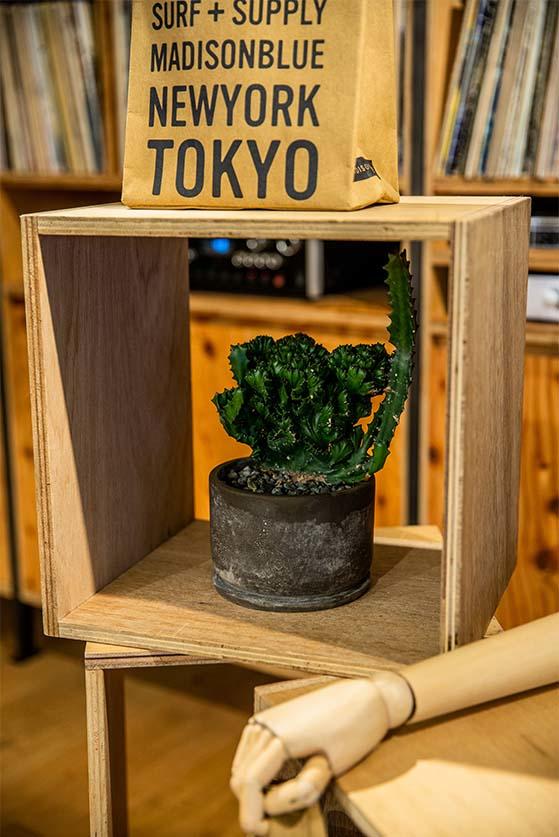 コンンテンツ画像